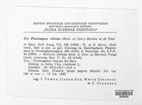 Plasmopara viticola image